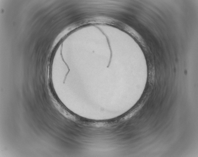 X0000085811130200704131940