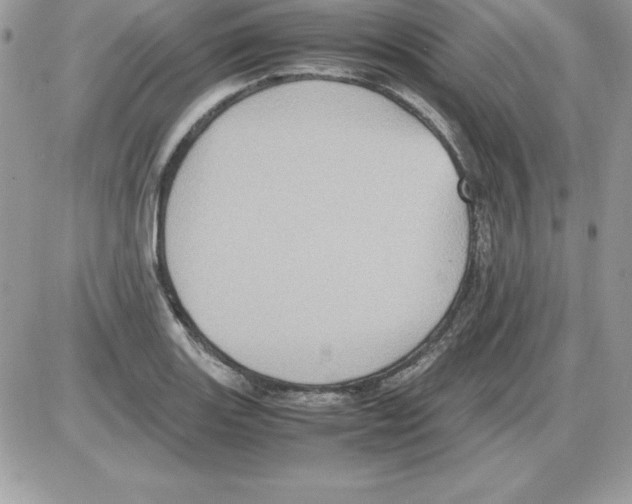 X0000085811131200704131940