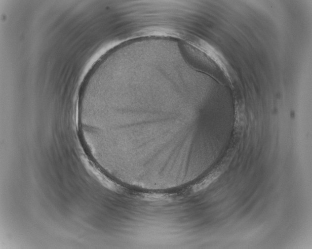 X0000085811132200704131940