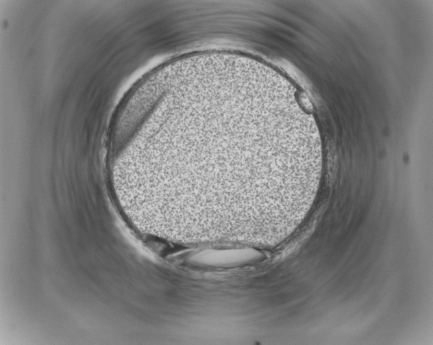 X0000085811134200704131940