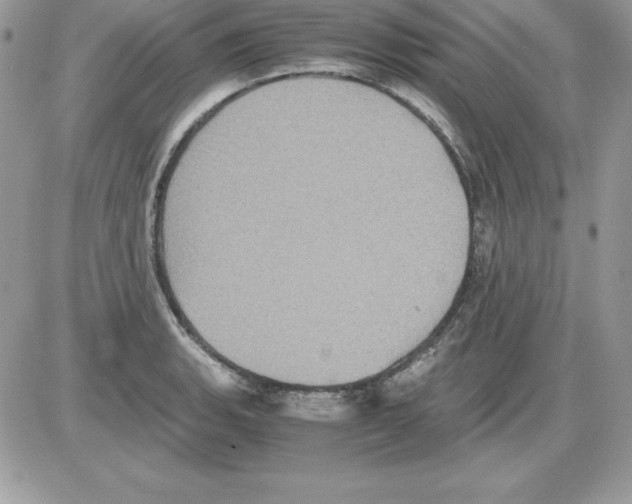 X0000085811135200704131940