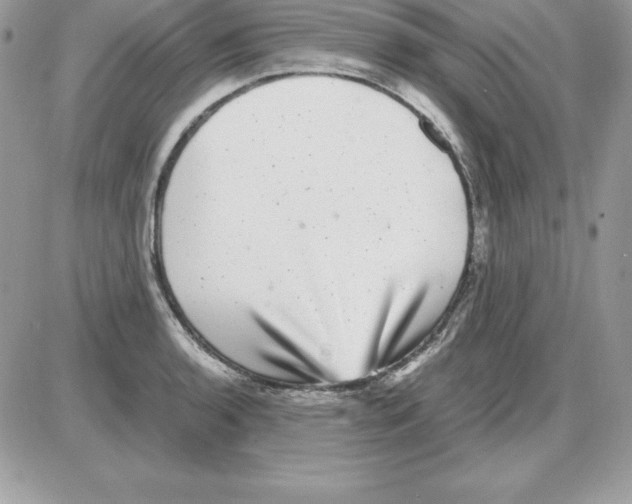 X0000085811136200704131940