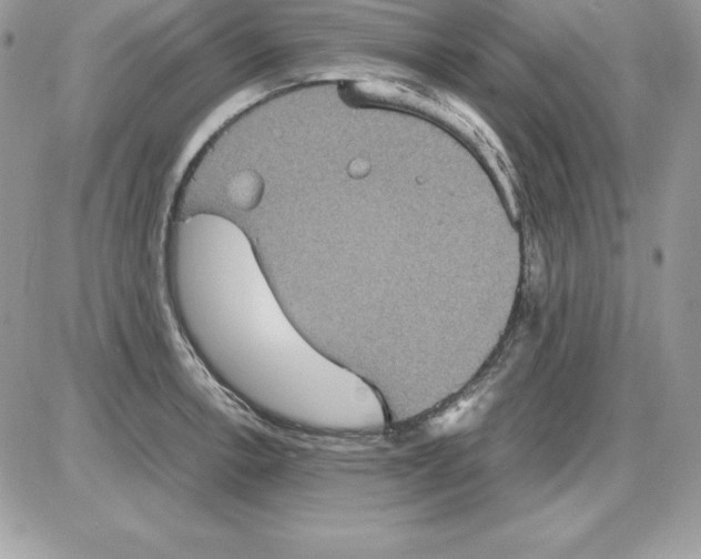 X0000085811138200704131940