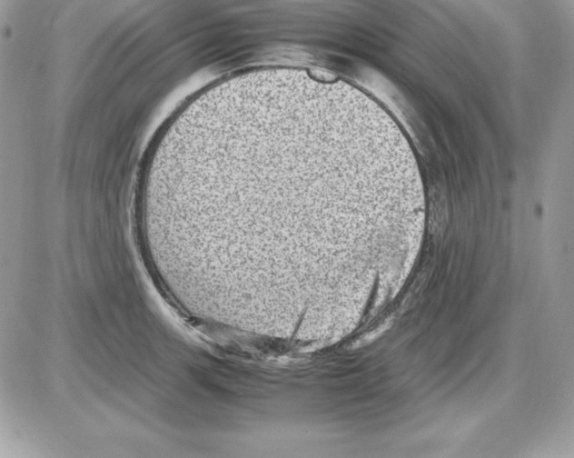 X0000085811139200704131940