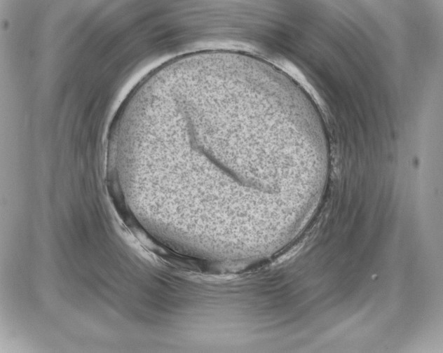 X0000085811140200704131940