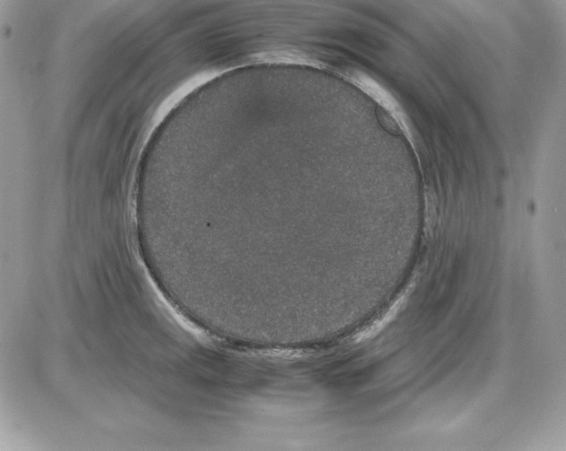 X0000085811141200704131940