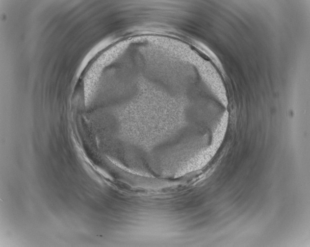 X0000085811146200704131940