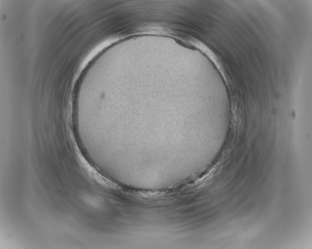 X0000085811147200704131940