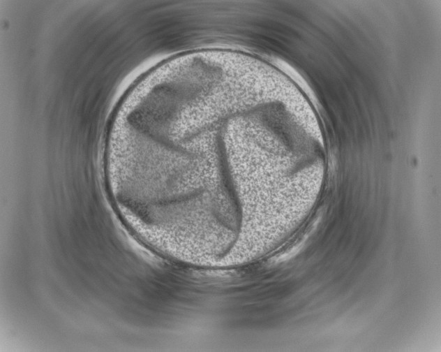 X0000085811149200704131940