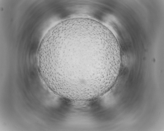 X0000085811150200704131940