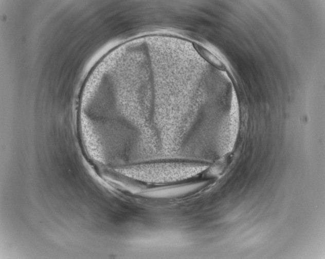 X0000085811151200704131940