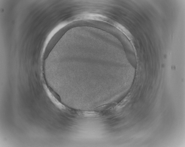 X0000085811152200704131940