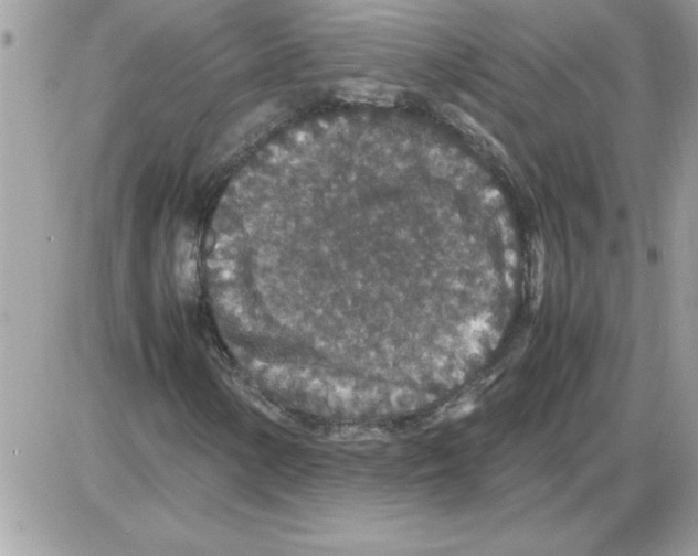 X0000085811154200704131939