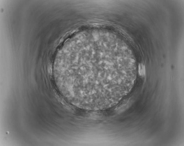 X0000085811155200704131939