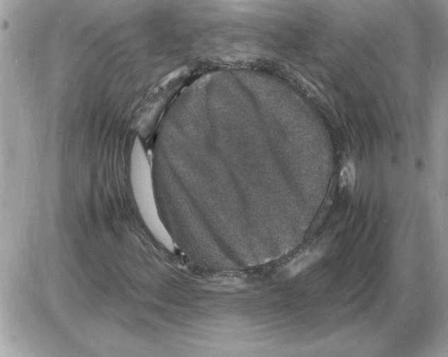 X0000085811156200704131939