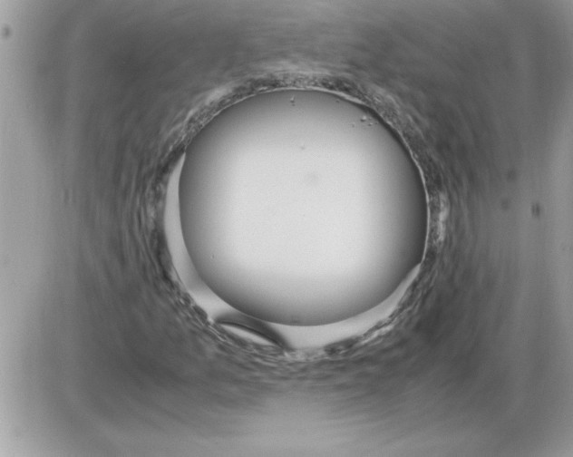 X0000085811157200704131939