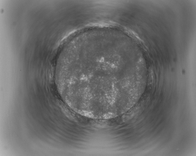 X0000085811158200704131939