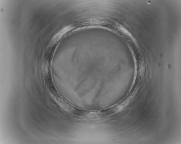 X0000085811161200704131939