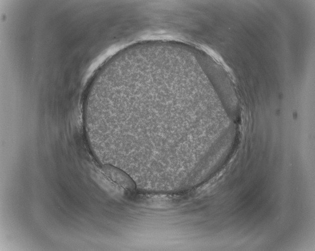 X0000085811167200704131939