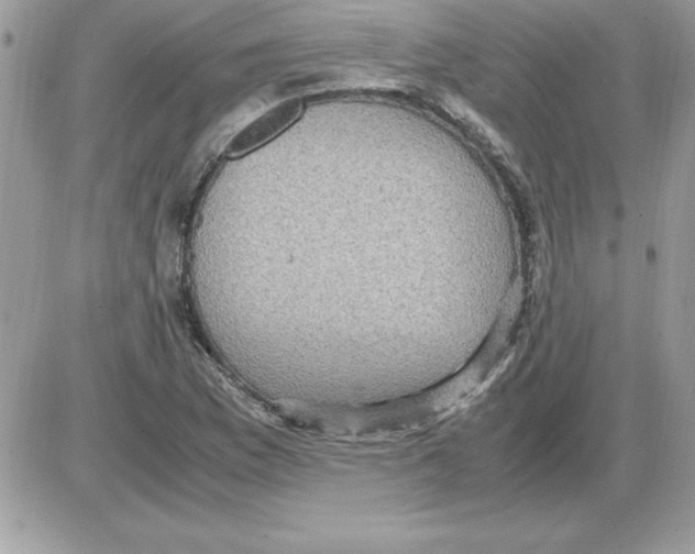 X0000085811169200704131939