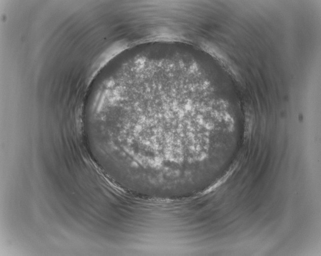 X0000085811170200704131939