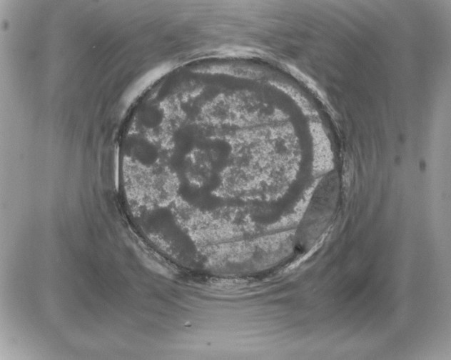 X0000085811171200704131939