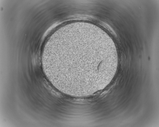 X0000085811172200704131939