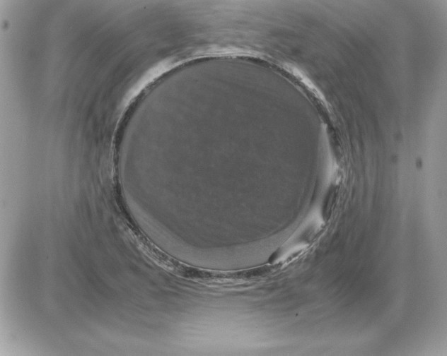 X0000085811173200704131939