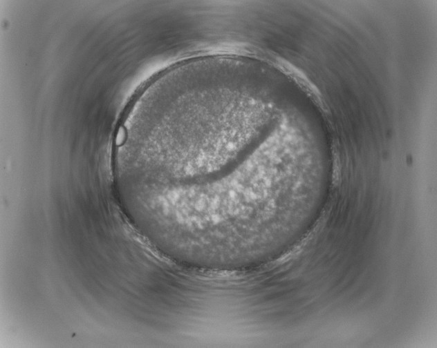 X0000085811174200704131939