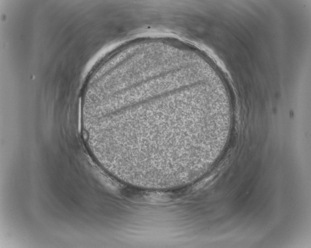 X0000085811175200704131939