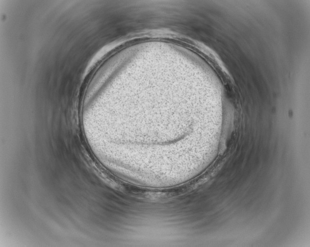 X0000085811176200704131939