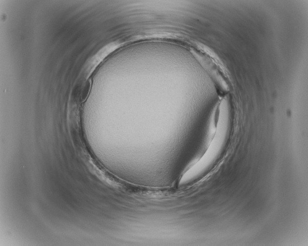 X0000085811177200704131939