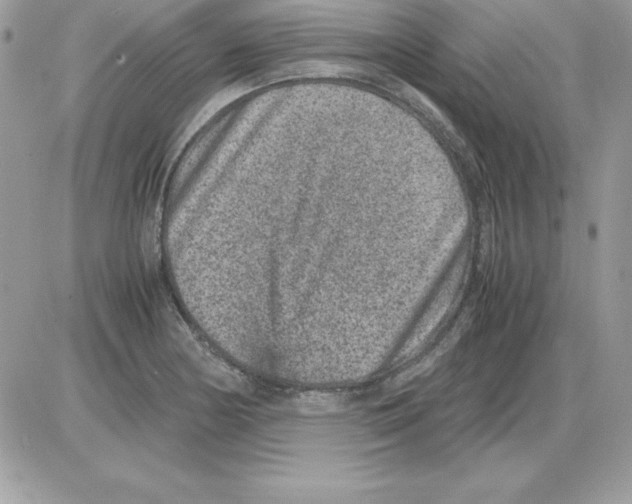 X0000085811178200704131939