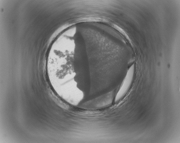 X0000085811179200704131939