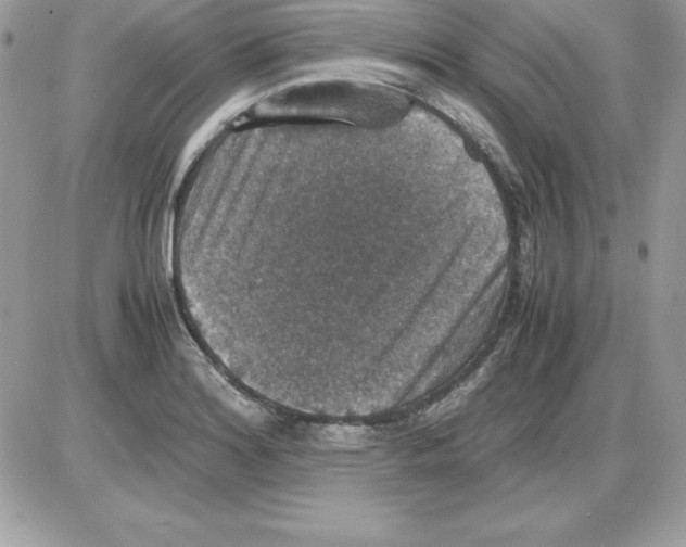 X0000085811180200704131939