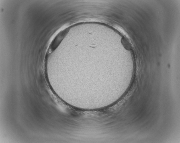 X0000085811181200704131939