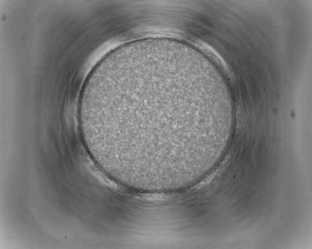 X0000085811182200704131939