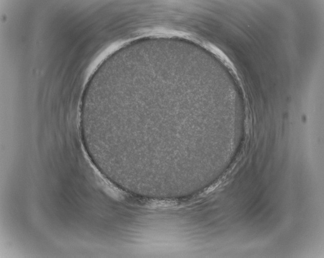 X0000085811183200704131939