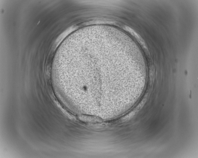 X0000085811185200704131939