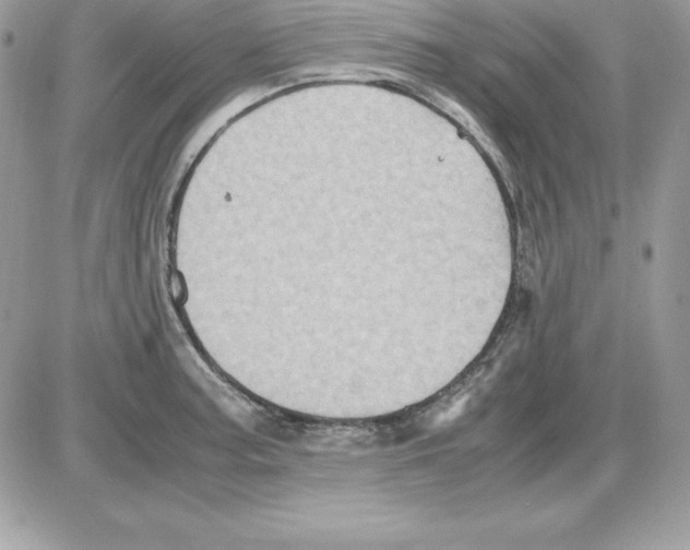 X0000085811187200704131939