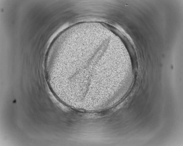 X0000085811189200704131939