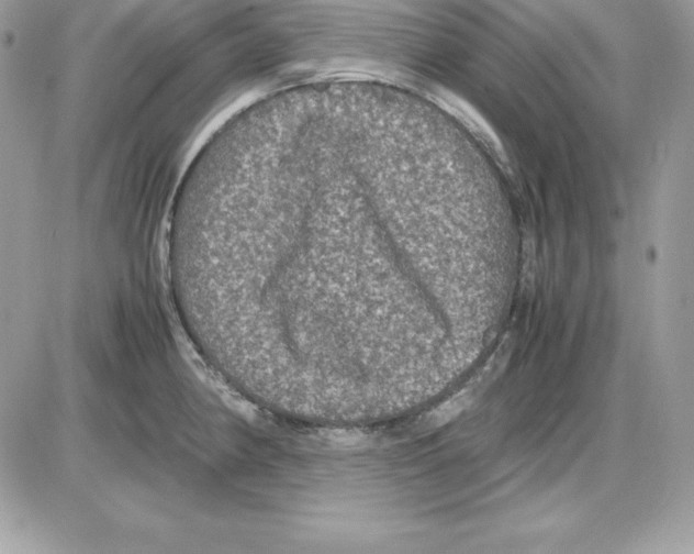 X0000085811190200704131938