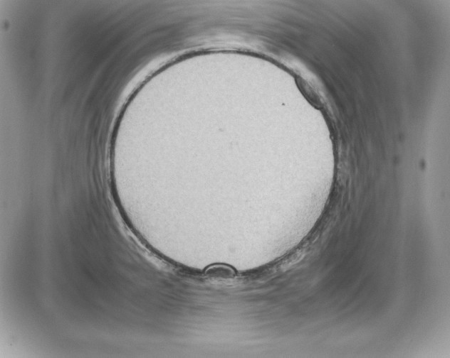 X0000085811191200704131938