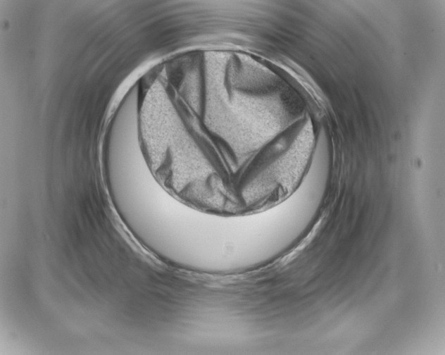 X0000085811196200704131938