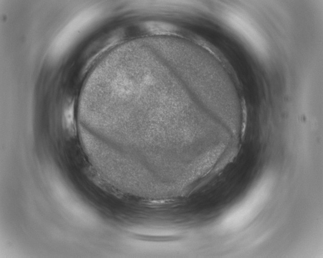 X0000085811198200704131938