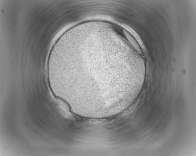 X0000085811199200704131938