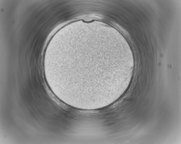 X0000085811200200704131938