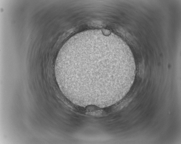 X0000085811201200704131938