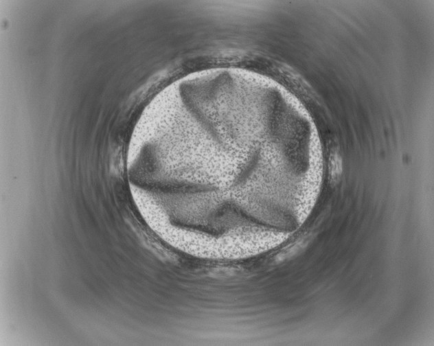 X0000085811204200704131938