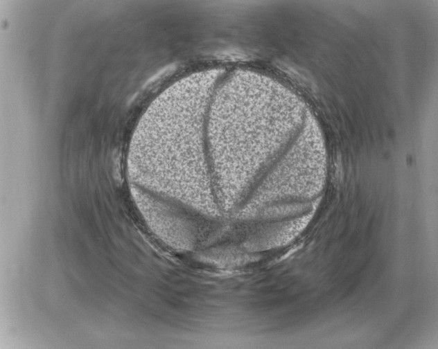 X0000085811205200704131938